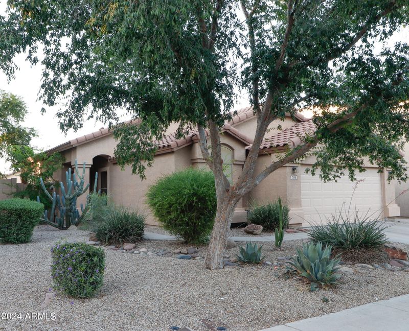798 E Lovegrass Dr, San Tan Valley, AZ 85143