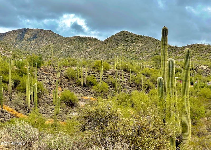 7XXX Highland Rd #-, Cave Creek, AZ 85331