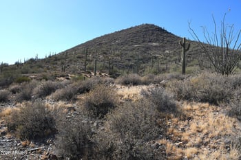 7XXX 80th St #'-', Cave Creek, AZ 85331