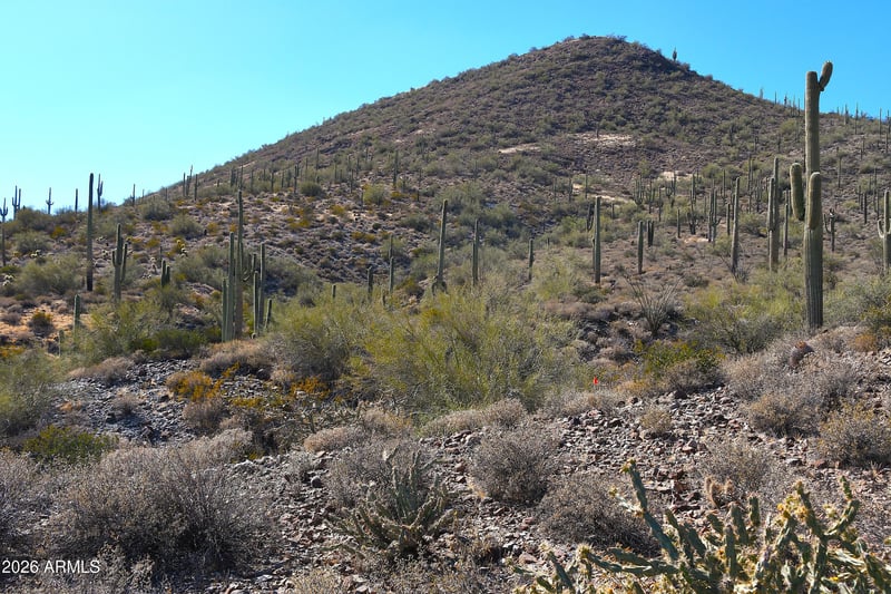 7XXX N 80th St #'-', Cave Creek, AZ 85331