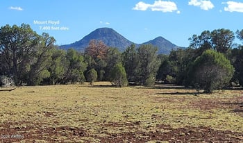 80 Rattlesnake Gulch -- #80, Williams, AZ 86046