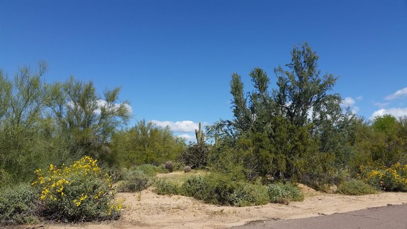 8002 E Williams Dr #69, Scottsdale, AZ 85255