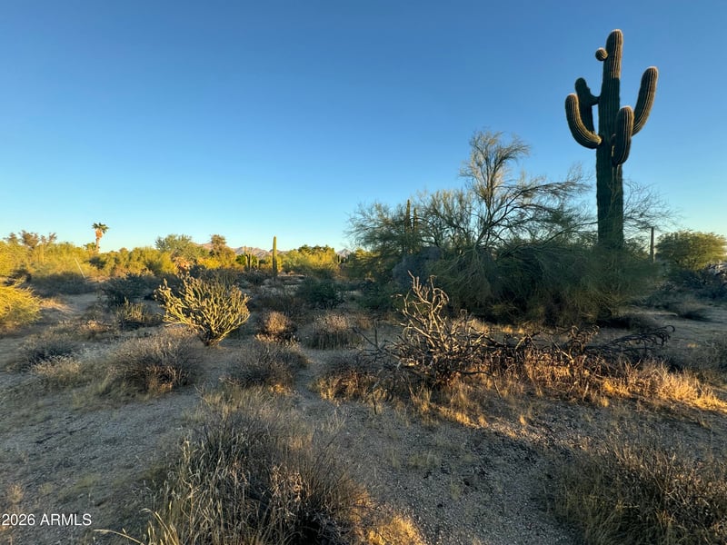 8002 Vista Bonita Dr #95, Scottsdale, AZ 85255