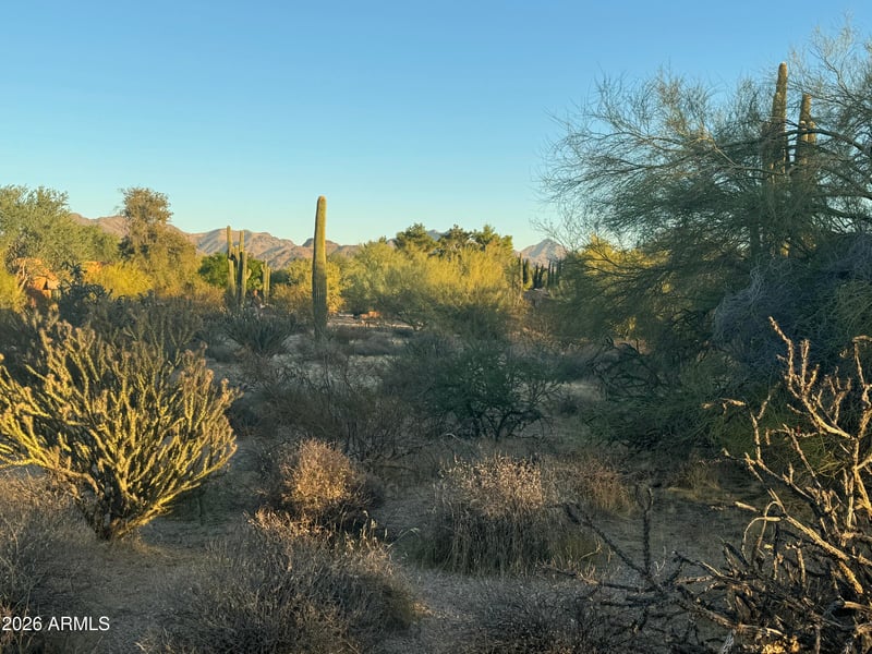 8002 Vista Bonita Dr #95, Scottsdale, AZ 85255