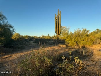 8002 Vista Bonita Dr #95, Scottsdale, AZ 85255