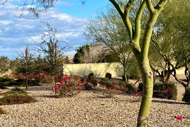 8030 W Atlantis Way, Phoenix, AZ 85043