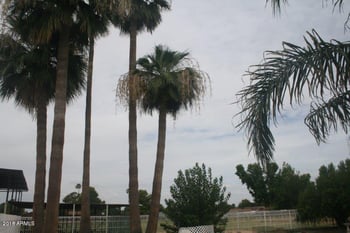 804 Alzora Way, Tolleson, AZ 85353