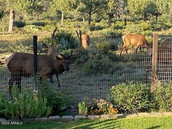 8071 Vista Del Norte --, Payson, AZ 85541