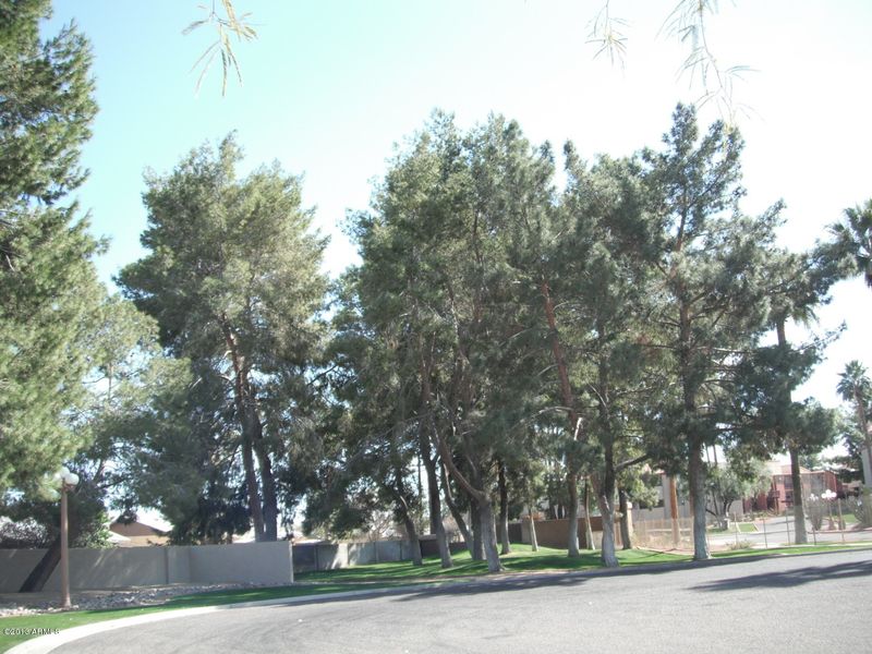 8100 E Camelback Rd E #146, Scottsdale, AZ 85251