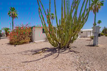 8103 Southern Ave #118, Mesa, AZ 85209