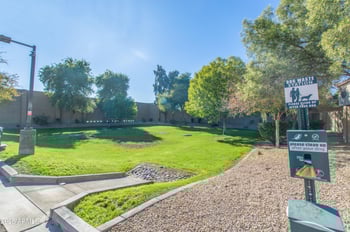 8119 Lynwood St, Phoenix, AZ 85043