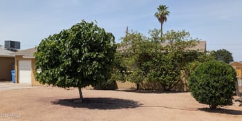 812 Desert Dr, Phoenix, AZ 85042