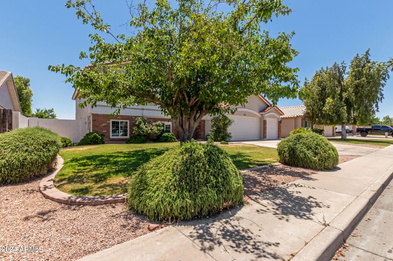 813 E Scott Ave, Gilbert, AZ 85234