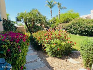 8137 Sunnyside Dr, Scottsdale, AZ 85260