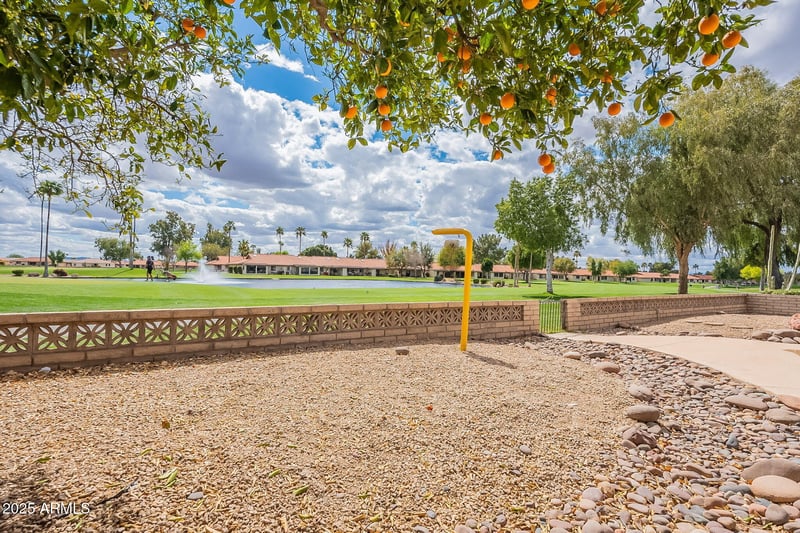 8147 Lakeview Ave, Mesa, AZ 85209