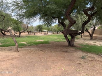 815 Bowker St, Phoenix, AZ 85041