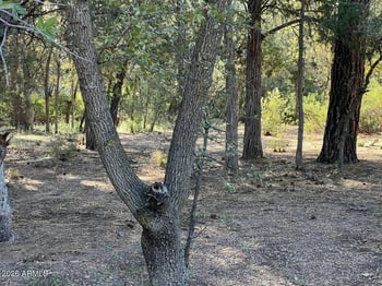 821 Eagle Ridge Cir #-, Payson, AZ 85541