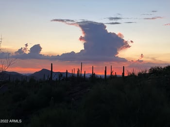 8228 Montezuma Rd #_, Carefree, AZ 85377