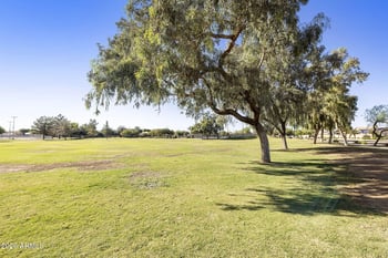 8238 W Alex Ave, Peoria, AZ 85382