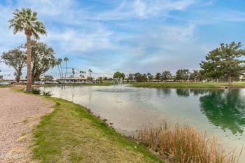 8244 Desert Trl, Mesa, AZ 85208