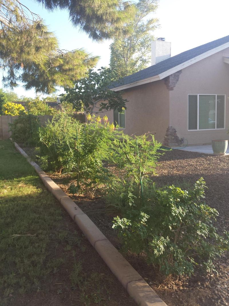 8265 W Dreyfus Dr, Peoria, AZ 85381