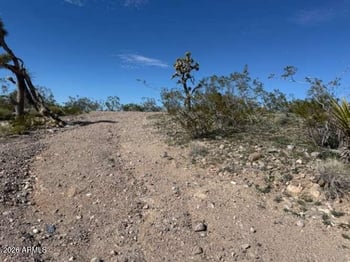 8277 Escondido Ave #149, White Hills, AZ 86445