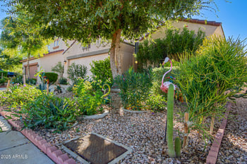 8313 Gross Ave, Tolleson, AZ 85353