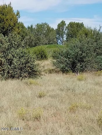 8388 Lake View Dr #27, Show Low, AZ 85901