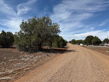 8389 Bear Meadow Dr #4, Show Low, AZ 85901