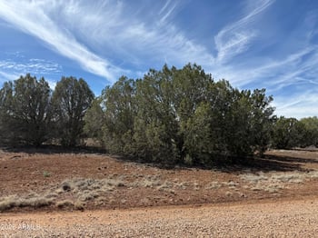 8389 Bear Meadow Dr #4, Show Low, AZ 85901