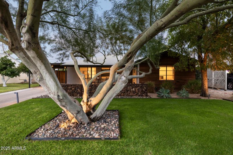840 W Earll Dr, Phoenix, AZ 85013
