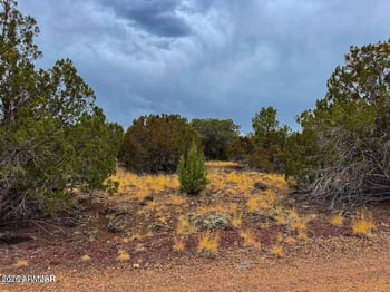 8423 Apache Dr #-, Show Low, AZ 85901