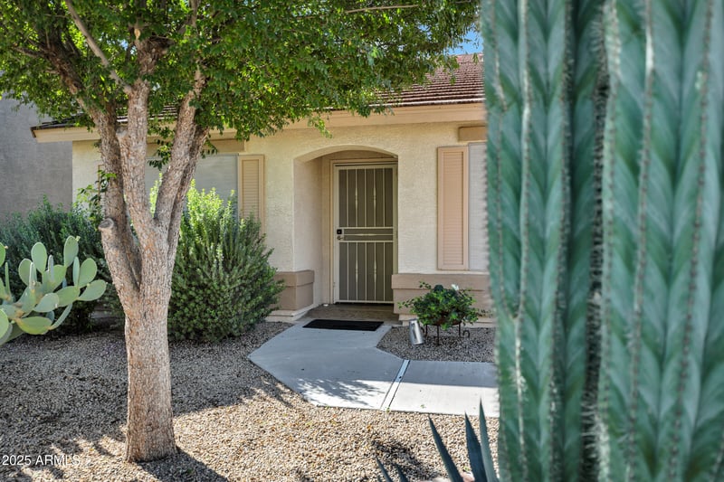 85 Pasture Canyon Dr, San Tan Valley, AZ 85143