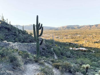 8512 Eagle Claw Dr, Scottsdale, AZ 85266