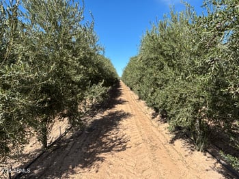 854 Lowell Dr, San Tan Valley, AZ 85140