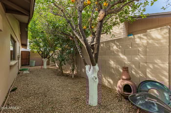 8562 Turney Ave, Scottsdale, AZ 85251