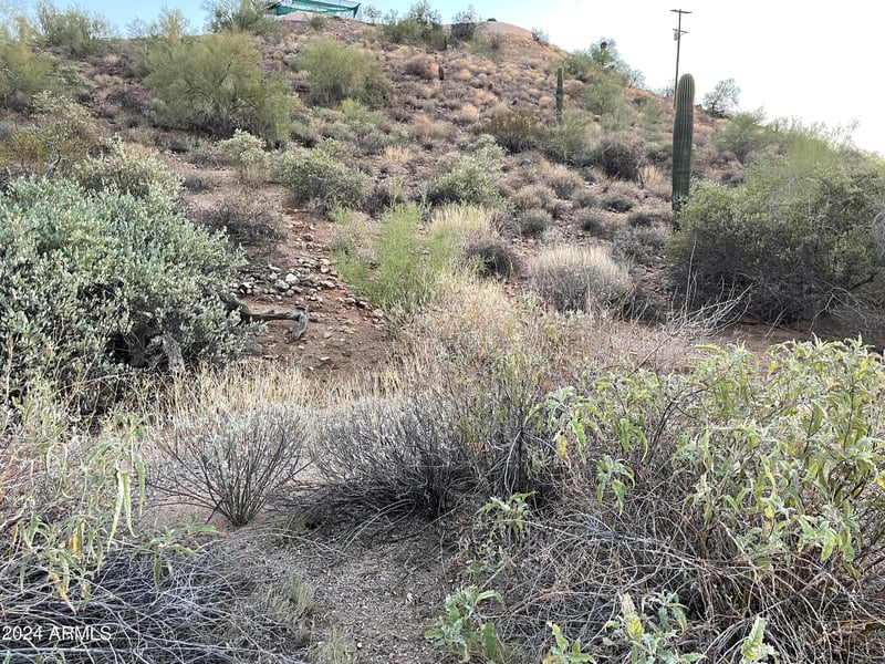85XX Culver St #-, Mesa, AZ 85207