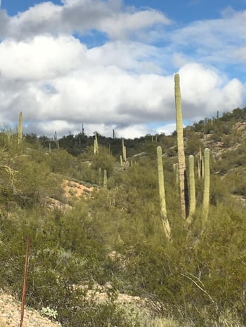 86.346 AC. Stonehedge Ranch Rd #6, Wickenburg, AZ 85390