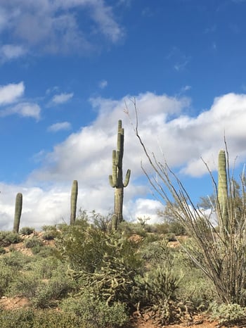 86.346 AC. Stonehedge Ranch Rd #6, Wickenburg, AZ 85390