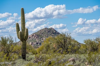8600 E Whisper Rock Trl #102, Scottsdale, AZ 85266