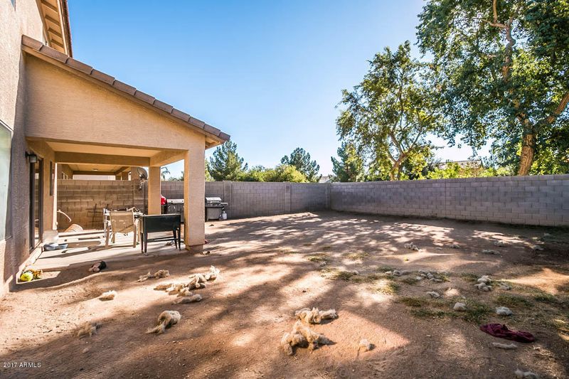 865 E Payton St, San Tan Valley, AZ 85140