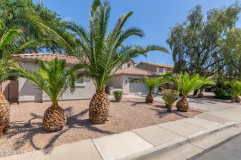 866 W Glenmere Dr, Chandler, AZ 85225
