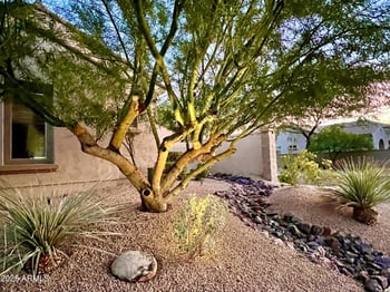 8667 Buckhorn Trl, Peoria, AZ 85383