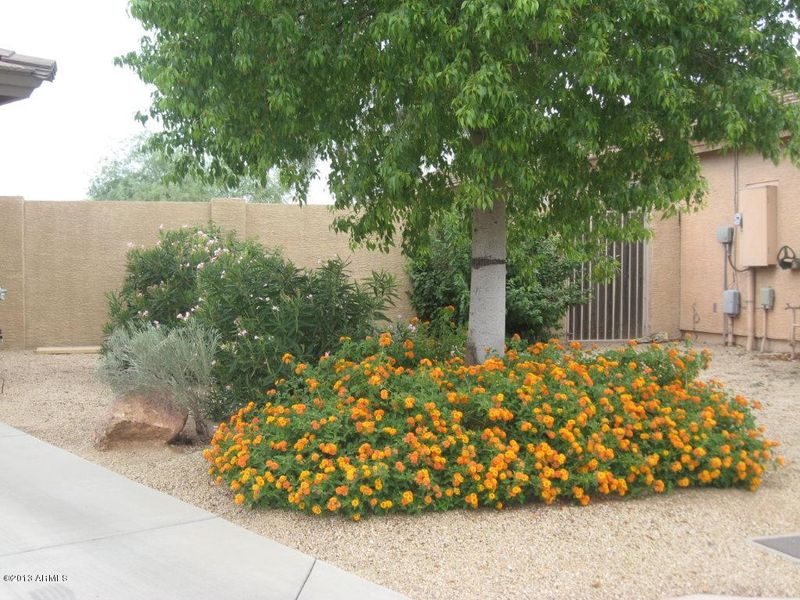 8702 E Onza Ave, Mesa, AZ 85212