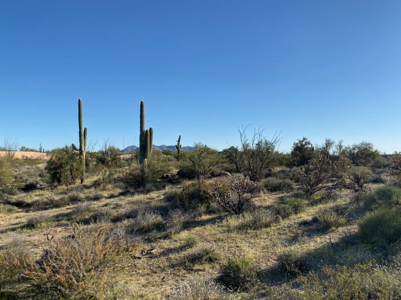 8733 E Old Field Rd #91, Scottsdale, AZ 85266
