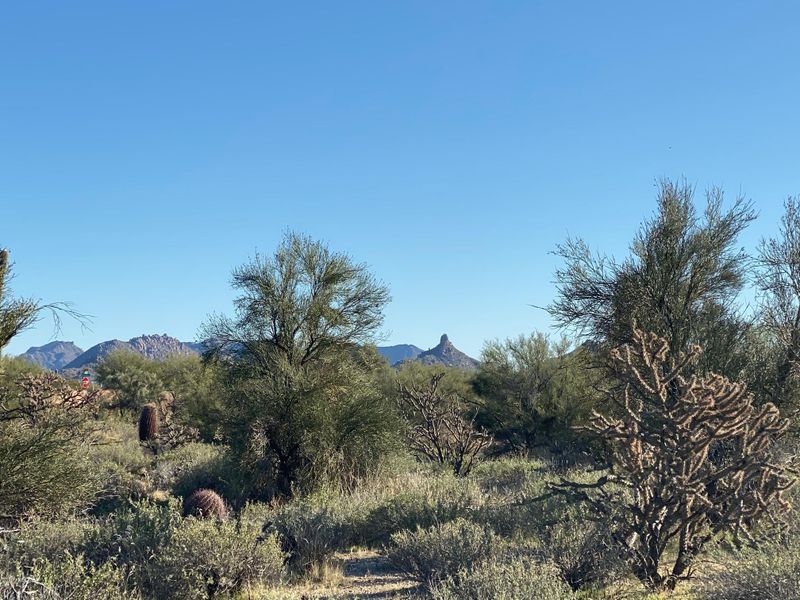 8733 E Old Field Rd #91, Scottsdale, AZ 85266