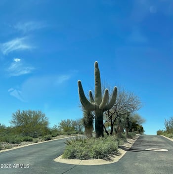 875 Monte Vista Trl #9, Wickenburg, AZ 85390