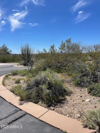 875 Monte Vista Trl #9, Wickenburg, AZ 85390