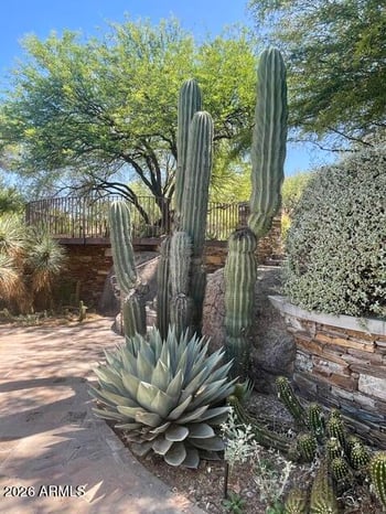 875 Monte Vista Trl #9, Wickenburg, AZ 85390