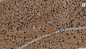 8789 Pine Tree Dr #256, Willow Beach, AZ 86445